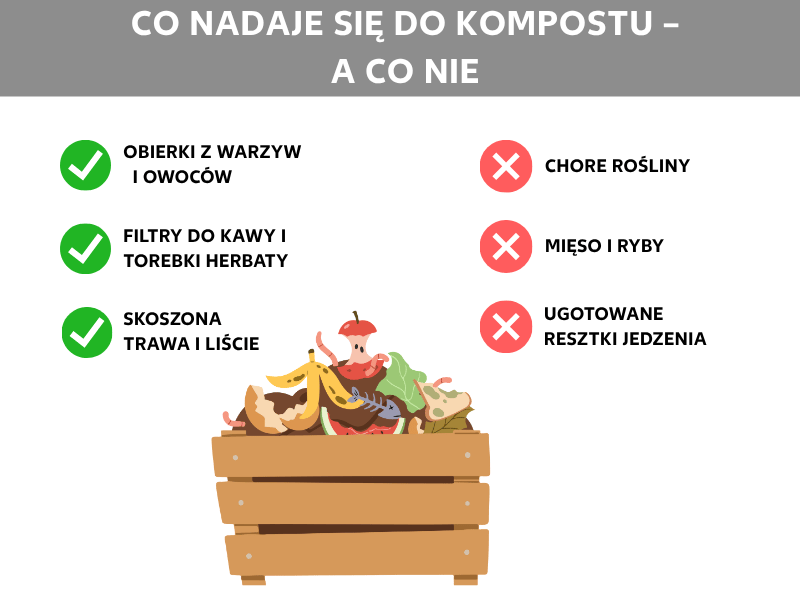 Infografika: co wrzucać na kompost, a czego unikać. Po lewej trzy zielone „ptaszki" z opisami: obierki z warzyw i owoców, filtry do kawy i torebki herbaty, skoszona trawa i liście. Po prawej trzy czerwone krzyżyki z opisami: chore rośliny, mięso i ryby, gotowe resztki jedzenia. Na środku ilustracja drewnianej skrzynki z różnymi odpadkami kuchennymi, takimi jak skórki od bananów, ogryzki jabłek i warzywa.