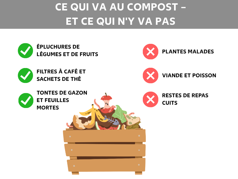 Infographie : ce qui va dans le compost et ce qui n'y va pas. À gauche, trois coches vertes avec les mentions : épluchures de fruits et légumes, filtres à café et sachets de thé, tontes de gazon et feuilles mortes. À droite, trois croix rouges avec les mentions : plantes malades, viande et poisson, restes de repas cuisinés. Au centre, l'illustration d'un bac en bois contenant divers déchets de cuisine comme des peaux de banane, des trognons de pomme et des légumes.