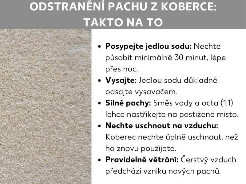 Infografika s názvem „Jak odstranit zápach z koberce“ a pěti tipy pro čistý koberec bez zápachu.