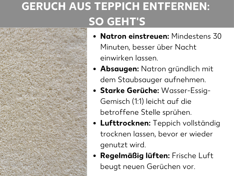 Infografik mit dem Titel „Geruch aus Teppich entfernen: So geht's". Links ein Nahaufnahme-Foto eines beigen Teppichs, rechts fünf Tipps: Natron mindestens 30 Minuten einwirken lassen, dann absaugen; bei starken Gerüchen ein Wasser-Essig-Gemisch (1) aufsprühen; Teppich vollständig lufttrocknen lassen; regelmäßig lüften, um neuen Gerüchen vorzubeugen.