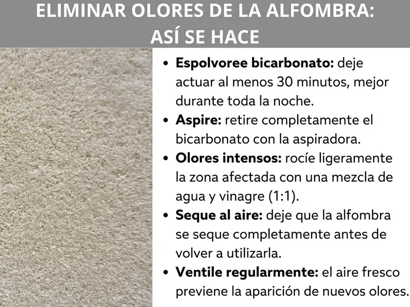 Infografía con el título «Quitar olor de la alfombra: así se hace». A la izquierda, una foto en primer plano de una alfombra beige; a la derecha, cinco consejos: dejar actuar el bicarbonato al menos 30 minutos y después aspirar; para olores fuertes, pulverizar una mezcla de agua y vinagre (1); dejar secar la alfombra por completo; ventilar con regularidad para prevenir nuevos olores.