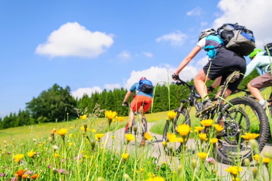 Fahrradtypen Fahrradarten Trekkingrad