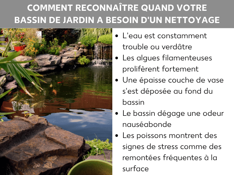 Infographie : comment savoir quand votre bassin de jardin a besoin d'un nettoyage. La liste comprend cinq points : 1. L'eau est durablement trouble ou verdâtre. 2. Les algues filamenteuses prolifèrent. 3. Une épaisse couche de vase s'est déposée au fond. 4. Le bassin dégage une odeur nauséabonde. 5. Les poissons montrent des signes de stress, comme des remontées fréquentes à la surface. En arrière-plan, un bassin de jardin planté avec des carpes koï et des pierres naturelles.