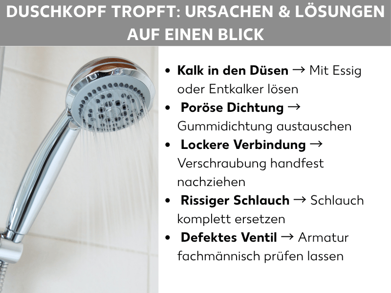 Infografik: Duschkopf tropft: Ursachen & Lösungen auf einen Blick. Links im Bild ein Foto eines Duschkopfs mit fließendem Wasser vor gefliester Wand. Rechts eine Liste mit fünf Punkten: 1. Kalk in den Düsen, Lösung: mit Essig oder Entkalker lösen. 2. Poröse Dichtung, Lösung: Gummidichtung austauschen. 3. Lockere Verbindung, Lösung: Verschraubung handfest nachziehen. 4. Rissiger Schlauch, Lösung: Schlauch komplett ersetzen. 5. Defektes Ventil, Lösung: Armatur fachmännisch prüfen lassen.