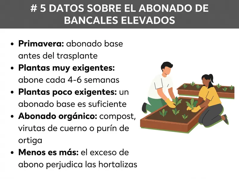 Infografía: 5 datos sobre abonar el huerto elevado. La lista incluye cinco puntos: 1. Primavera: abonado de fondo antes de plantar. 2. Plantas de alta demanda: abonar de nuevo cada 4-6 semanas. 3. Plantas de baja demanda: basta con un único abonado de fondo. 4. Abonar con productos orgánicos: compost, harina de cuerno o purín de ortiga. 5. Menos es más: el exceso de abono perjudica las hortalizas. A la derecha se muestra una ilustración de dos personas plantando juntas en un huerto elevado.
