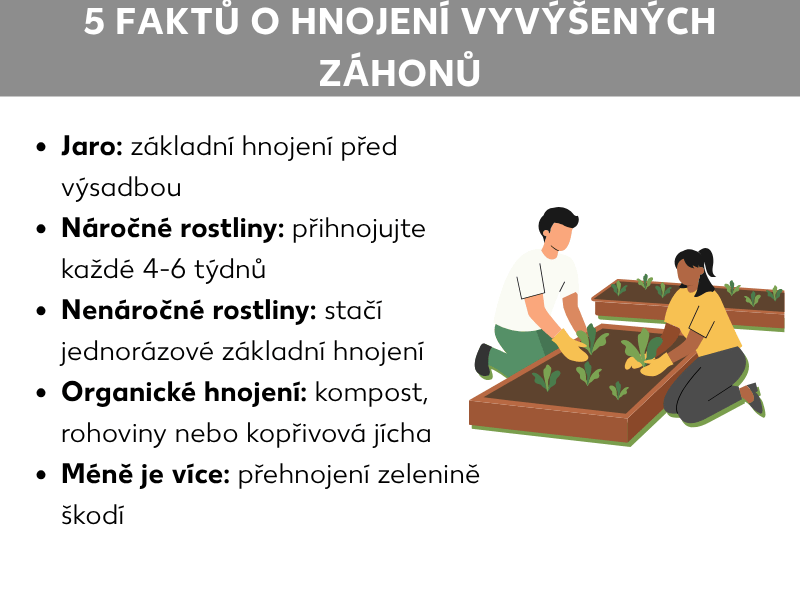 Infografika: 5 faktů o hnojení vyvýšeného záhonu. Seznam zahrnuje pět bodů: 1. Jaro: základní hnojení před výsadbou. 2. Silní konzumenti živin: přihnojovat každé 4–6 týdnů. 3. Slabí konzumenti živin: stačí jednorázové základní hnojení. 4. Organické hnojení: kompost, rohové hoblinky nebo macerát z kopřiv. 5. Méně je více: přehnojení zelenině škodí. Vpravo je ilustrace dvou osob, které společně osazují vyvýšený záhon.