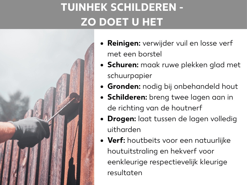 Infographic: Kop "Tuinschutting schilderen – zo doe je dat". Links een foto van een hand met een zwarte werkhandschoen die met een kleine verfroller roodbruine houtbeits op de latten van een houten schutting aanbrengt. Rechts daarnaast een lijst met zes werkstappen: Reinigen – vuil en losse verf met een borstel verwijderen; Opschuren – ruwe plekken met schuurpapier gladmaken; Gronden – nodig bij onbehandeld hout; Schilderen – twee lagen aanbrengen in de richting van de houtnerf; Drogen – tussen de lagen volledig laten uitharden; Verf – houtbeits voor een natuurlijke houtlook, schuttingverf voor een dekkend of kleurrijk resultaat.