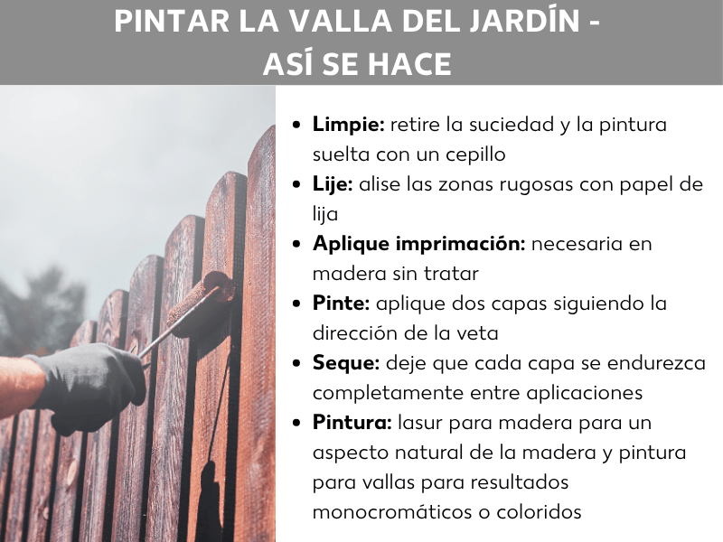 Infografía: Título «Pintar la valla del jardín: así se hace». A la izquierda, una foto muestra una mano con un guante de trabajo negro aplicando lasur de color marrón rojizo sobre los listones de una valla de madera con un rodillo pequeño. A la derecha, una lista con seis pasos de trabajo: Limpiar: eliminar suciedad y pintura suelta con un cepillo; Lijar: alisar las zonas rugosas con papel de lija; Imprimar: necesario en madera sin tratar; Pintar: aplicar dos capas en la dirección de la veta; Secar: dejar endurecer completamente entre capa y capa; Color: lasur para un aspecto natural de la madera, pintura para vallas para resultados uniformes o de colores.