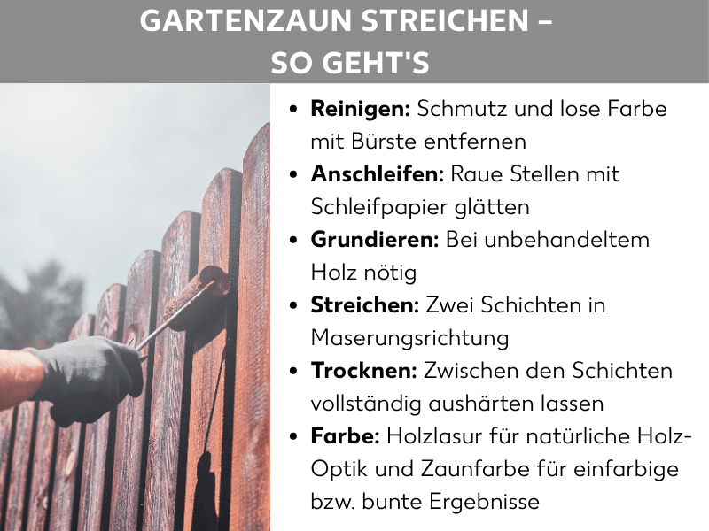 Infografik: Überschrift „Gartenzaun streichen – so geht's". Links ein Foto zeigt eine Hand mit schwarzem Arbeitshandschuh, die mit einer kleinen Farbrolle rotbraune Holzlasur auf die Latten eines Holzzauns aufträgt. Rechts daneben eine Liste mit sechs Arbeitsschritten: Reinigen – Schmutz und lose Farbe mit Bürste entfernen; Anschleifen – raue Stellen mit Schleifpapier glätten; Grundieren – bei unbehandeltem Holz nötig; Streichen – zwei Schichten in Maserungsrichtung auftragen; Trocknen – zwischen den Schichten vollständig aushärten lassen; Farbe – Holzlasur für natürliche Holzoptik, Zaunfarbe für einfarbige bzw. bunte Ergebnisse.