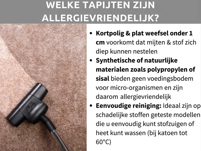 Infographic over het onderwerp "Welke tapijten zijn allergievriendelijk?" met een foto van een stofzuiger op een licht kortpolig tapijt. De drie genoemde tips: kortpolig en platweefsels onder 1 cm houden mijten en stof op afstand; synthetische of natuurlijke materialen zoals polypropyleen of sisal bieden geen voedingsbodem voor micro-organismen; gemakkelijk te reinigen, op schadelijke stoffen geteste modellen kun je stofzuigen of bij maximaal 60 °C wassen (bij katoen).