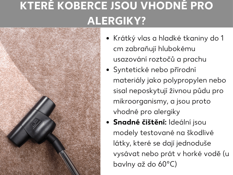 Infografika na téma „Koberce vhodné pro alergiky“ s fotografií vysavače na světlém koberci s krátkým vlasem. Obsahuje tři tipy: 1. Krátký vlas a plochá tkanina pod 1 cm omezují usazování roztočů a prachu. 2. Syntetické nebo přírodní materiály jako polypropylen či sisal neposkytují živnou půdu pro mikroorganismy. 3. Snadno čistitelné a na škodliviny testované modely lze vysávat nebo prát (bavlnu až na 60 °C).