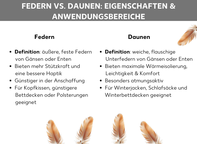 Infografik: Vergleich Federn und Daunen. Eigenschaften von Federn auf der linken Seite, dazu folgende Aufzählungspunkte: Definition: äußere, feste Federn von Gänsen oder Enten, Bieten mehr Stützkraft und eine bessere Haptik, Günstiger in der Anschaffung, Für Kopfkissen, günstigere Bettdecken oder Polsterungen geeignet. Auf der rechten Seite die Eigenschaften von Daunen, dazu folgende Aufzählungspunkte: Definition: weiche, flauschige Unterfedern von Gänsen oder Enten, Bieten maximale Wärmeisolierung, Leichtigkeit & Komfort, Besonders atmungsaktiv, Für Winterjacken, Schlafsäcke und Winterbettdecken geeignet.