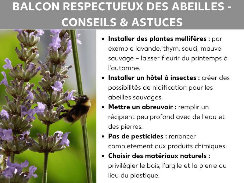 Infographie « Aménager un balcon pour les abeilles – Astuces » : à gauche, la photo d’un bourdon sur un plant de lavande en fleurs ; à droite, cinq conseils : installer des plantes mellifères comme la lavande, le thym et le souci ; fixer un hôtel à insectes ; prévoir un abreuvoir avec une coupelle plate et des pierres ; renoncer aux pesticides ; choisir des matériaux naturels comme le bois, la terre cuite et la pierre plutôt que le plastique.