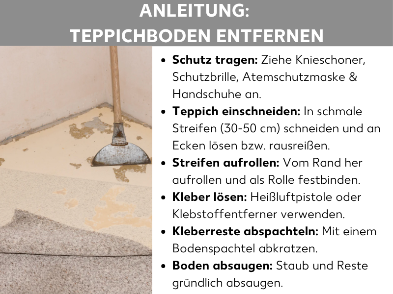 Infografik: Anleitung zum Entfernen von Teppichboden: Foto eines teilweise entfernten Teppichbodens mit sichtbarem Kleber darunter und einem Bodenspachtel. Daneben eine Liste mit sechs Schritten: Schutzausrüstung anlegen, Teppich in Streifen schneiden, Streifen aufrollen, Kleber lösen, Kleberreste abspachteln, Boden absaugen.