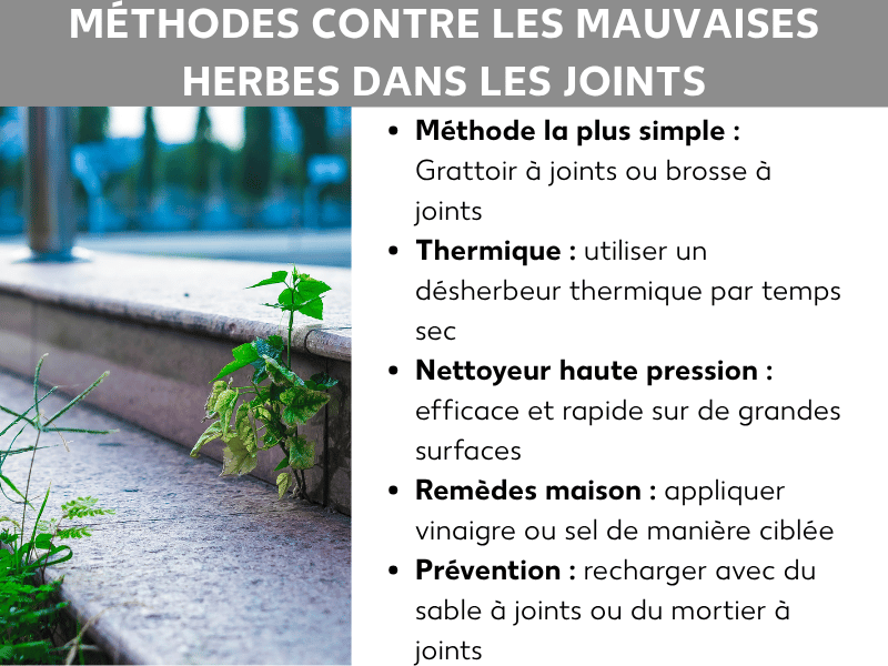 Infographie : méthodes contre les mauvaises herbes dans les joints. À gauche, une photo de pavés envahis de végétation entre les joints. À droite, une liste de cinq points : 1. Méthode la plus simple : grattoir ou brosse à joints. 2. Thermique : désherbeur thermique par temps sec. 3. Nettoyeur haute pression : rapide sur les grandes surfaces. 4. Astuces maison : vinaigre ou sel en application ciblée. 5. Prévention : recharger le sable ou le mortier de jointoiement.