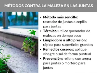 Infografía: métodos contra las malas hierbas en las juntas. A la izquierda se ve una foto de adoquines con malas hierbas en las juntas. A la derecha, una lista con cinco puntos: 1. Método más sencillo: rascador de juntas o cepillo para juntas. 2. Térmico: usar un quemador de malas hierbas con tiempo seco. 3. Hidrolimpiadora: rápida en superficies grandes. 4. Remedios caseros: aplicar vinagre o sal de forma localizada. 5. Prevención: rellenar con arena o mortero para juntas.