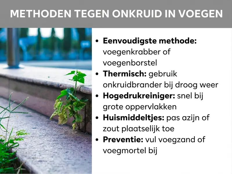 Infographic: Methoden tegen onkruid in voegen. Links is een foto te zien van straatklinkers met onkruid in de voegen. Rechts daarnaast een lijst met vijf punten: 1. Eenvoudigste methode: voegenkrabber of voegenborstel. 2. Thermisch: onkruidbrander inzetten bij droog weer. 3. Hogedrukreiniger: snel bij grote oppervlakken. 4. Huismiddelen: azijn of zout plaatselijk aanbrengen. 5. Preventie: voegzand of voegmortel bijvullen.