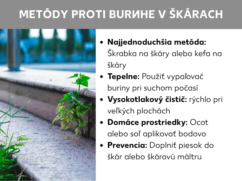 Infografika: Metódy proti burine v špárach. Vľavo fotografia dlažobných kociek s burinou v špárach. Vpravo zoznam s piatimi bodmi: 1. Najjednoduchšia metóda: škrabka alebo kefa na špáry. 2. Termicky: horák na burinu použiť za suchého počasia. 3. Vysokotlakový čistič: rýchly pri veľkých plochách. 4. Domáce prostriedky: ocot alebo soľ aplikovať bodovo. 5. Prevencia: doplniť špárovací piesok alebo špárovaciu maltu.