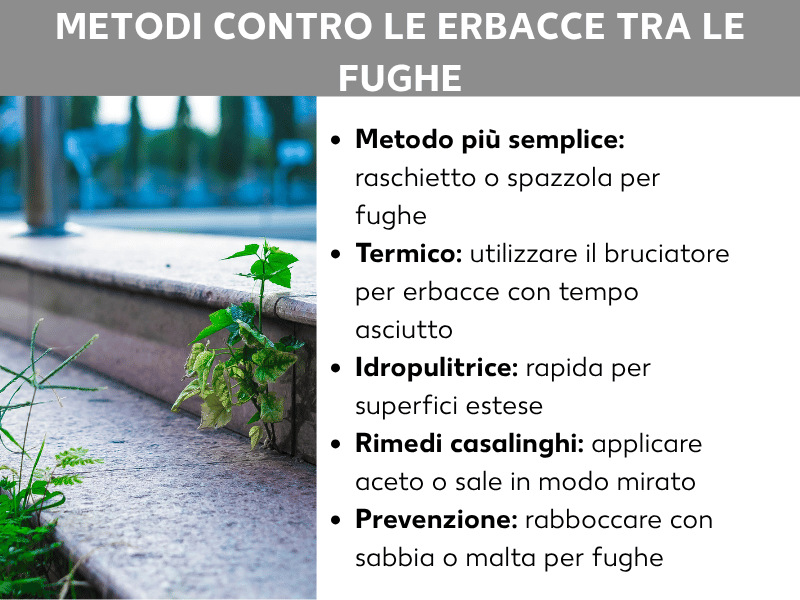 Infografica: metodi contro le erbacce nelle fughe. A sinistra, una foto di masselli con erbacce tra le fughe. A destra, un elenco con cinque punti: 1. Metodo più semplice: raschietto o spazzola per fughe. 2. Metodo termico: bruciatore per erbacce, da usare con tempo asciutto. 3. Idropulitrice: veloce per superfici ampie. 4. Rimedi casalinghi: aceto o sale da applicare in modo mirato. 5. Prevenzione: rabboccare con sabbia o malta per fughe.