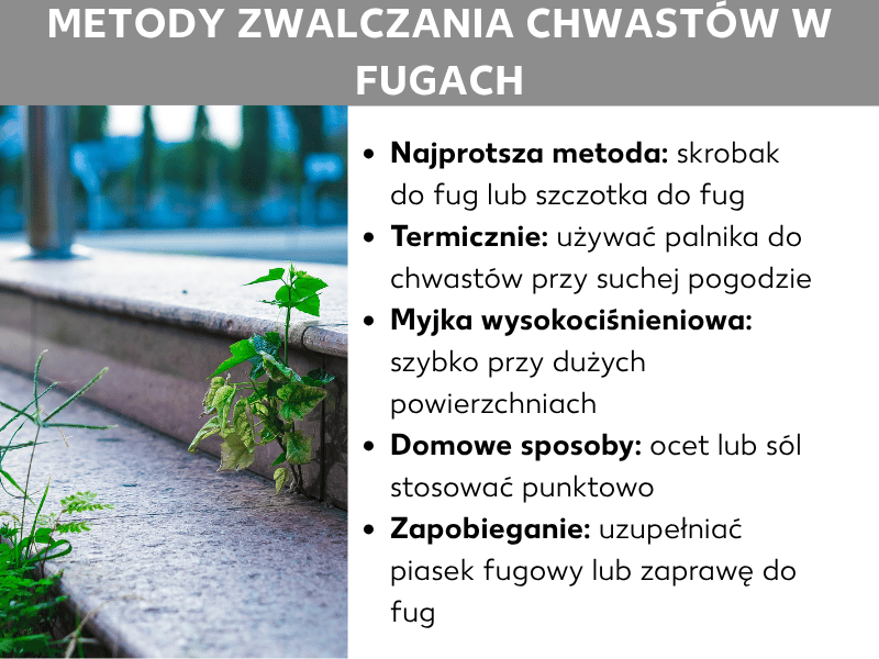 Infografika: metody usuwania chwastów z fug. Po lewej zdjęcie kostki brukowej z chwastami w fugach. Obok lista z pięcioma punktami: 1. Najprostsza metoda: skrobak lub szczotka do fug. 2. Termicznie: palnik do chwastów – stosuj przy suchej pogodzie. 3. Myjka ciśnieniowa: szybka metoda na duże powierzchnie. 4. Domowe sposoby: ocet lub sól – punktowo. 5. Profilaktyka: uzupełniaj piasek fugowy lub zaprawę do fug.