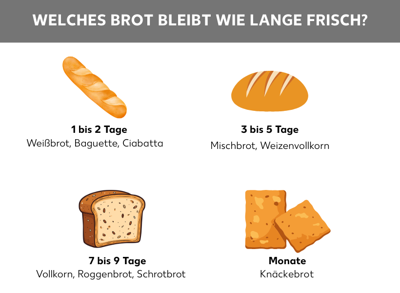 Infografik: Welches Brot bleibt wie lange frisch? Auf der Grafik sieht man vier verschiedene Brotsorten, darunter steht, wie lange die Sorten haltbar sind: Weibrot, Baguette und Ciabatta sind 1 bis 2 Tage haltbar; Mischbrot und Weizenvollkorn sind 3 bis 5 Tage haltbar; Vollkorn, Roggenbrot und Schrotbrot sind 7 bis 9 Tage haltbar; Knäckebrot ist Monate haltbar.