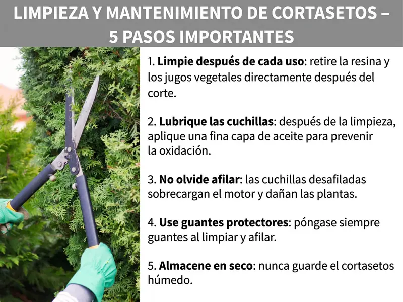 Infografía: limpiar cortasetos y mantenerlo – 5 puntos importantes. La lista incluye cinco puntos: 1. Limpiar después de cada uso: eliminar la resina y la savia justo después del corte. 2. Engrasar las cuchillas: tras la limpieza, aplicar una fina capa de aceite para prevenir la oxidación. 3. No olvidar el afilado: las cuchillas romas sobrecargan el motor y dañan las plantas. 4. Usar guantes de protección: siempre ponerse guantes al limpiar y afilar. 5. Guardar en seco: nunca almacenar el cortasetos húmedo.
