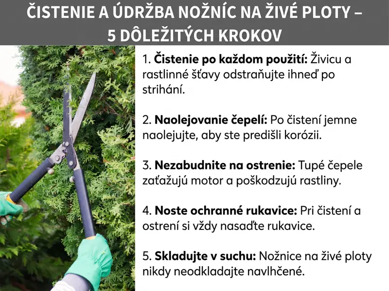 Infografika: Údržba plotostrihu – 5 dôležitých bodov. Zoznam obsahuje päť bodov: 1. Čistenie po každom použití: živicu a rastlinné šťavy odstráňte hneď po strihaní. 2. Olejovanie nožov: po čistení tenkou vrstvou oleja zabránite korózii. 3. Nezabudnite na brúsenie: tupé nože zaťažujú motor aj rastliny. 4. Používajte ochranné rukavice: pri čistení a brúsení si vždy nasaďte rukavice. 5. Suché skladovanie: plotostrih nikdy neodkladajte vlhký.