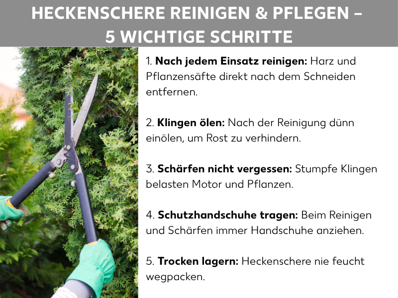 Infografik: Heckenschere reinigen & pflegen – 5 wichtige Punkte. Die Liste umfasst fünf Punkte: 1. Nach jedem Einsatz reinigen: Harz und Pflanzensäfte direkt nach dem Schneiden entfernen. 2. Klingen ölen: Nach der Reinigung dünn einölen, um Rost zu verhindern. 3. Schärfen nicht vergessen: Stumpfe Klingen belasten Motor und Pflanzen. 4. Schutzhandschuhe tragen: Beim Reinigen und Schärfen immer Handschuhe anziehen. 5. Trocken lagern: Heckenschere nie feucht wegpacken.
