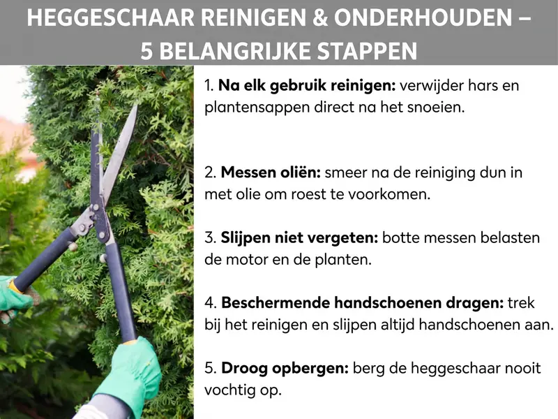 Infographic: heggenschaar reinigen en onderhouden – 5 belangrijke punten. De lijst bevat vijf punten: 1. Na elk gebruik reinigen: verwijder hars en plantensappen direct na het snoeien. 2. Messen inoliën: breng na het reinigen een dun laagje olie aan om roest te voorkomen. 3. Slijpen niet vergeten: botte messen belasten motor en planten. 4. Beschermhandschoenen dragen: draag bij het reinigen en slijpen altijd handschoenen. 5. Droog opbergen: berg de heggenschaar nooit vochtig op.