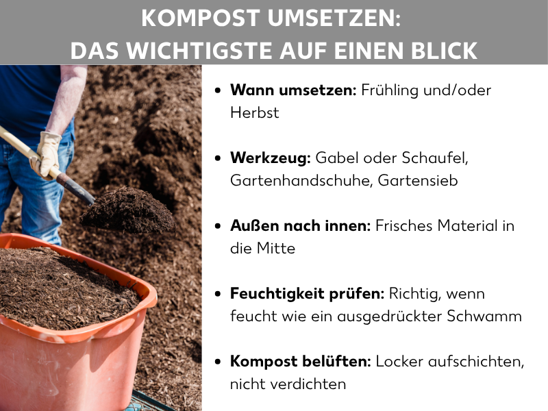 Infografik: Kompost umsetzen – Das Wichtigste auf einen Blick. Die Liste umfasst fünf Punkte: 1. Wann umsetzen: Frühling und/oder Herbst sind ideal. 2. Werkzeug: Gabel oder Schaufel, Gartenhandschuhe, Gartensieb. 3. Außen nach innen: Frisches Material wandert in die Mitte. 4. Feuchtigkeit prüfen: Feucht wie ein ausgedrückter Schwamm. 5. Kompost belüften: Locker aufschichten, nicht verdichten.