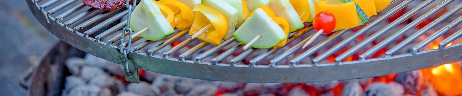 Wissenswertes zu Schwenkgrills