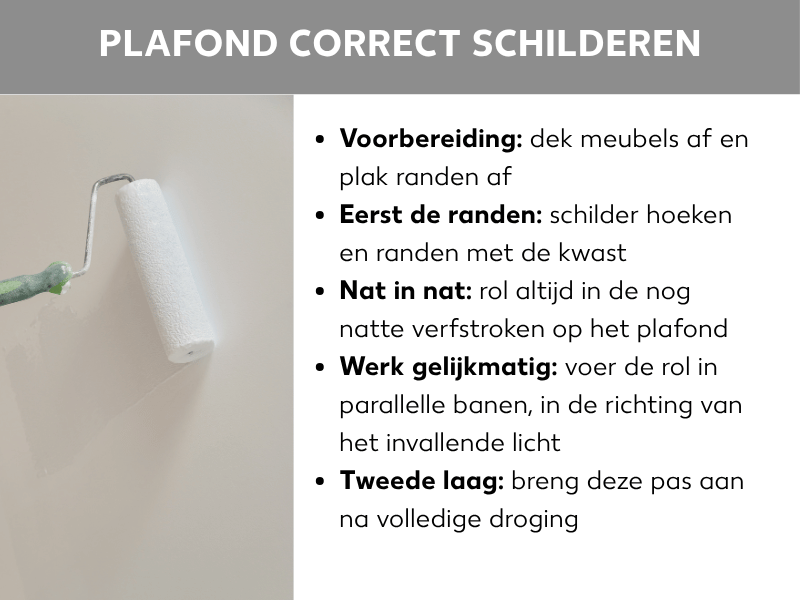Infographic met de titel "Plafond goed schilderen": Links een foto van een hand met een verfroller tegen een wit plafond. Rechts vijf tips: 1. Voorbereiding – meubels afdekken en randen afplakken. 2. Randen eerst – hoeken en randen met een kwast schilderen. 3. Nat-in-nat – steeds in de nog natte verfstroken rollen. 4. Gelijkmatig werken – roller in evenwijdige banen in de richting van het invallende licht voeren. 5. Tweede laag – pas aanbrengen na volledige droging.