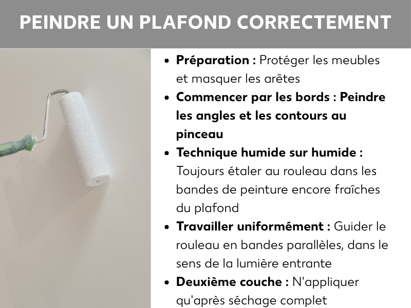 Infographie intitulée « Peindre un plafond correctement » : à gauche, une photo d'une main tenant un rouleau à peinture contre un plafond blanc. À droite, cinq conseils : 1. Préparation – couvrir les meubles et protéger les bords avec du ruban de masquage. 2. Les bords d'abord – peindre les angles et les contours au pinceau. 3. Frais sur frais – toujours repasser dans la peinture encore humide. 4. Travailler régulièrement – passer le rouleau en bandes parallèles dans le sens de la lumière. 5. Deuxième couche – appliquer uniquement après séchage complet.
