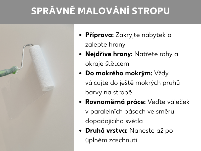 Infografika s názvem „Jak správně malovat strop": Vlevo fotografie ruky s malířským válečkem na bílém stropě. Vpravo pět tipů: 1. Příprava – zakryjte nábytek a zalepte hrany. 2. Nejdřív hrany – rohy a okraje natřete štětcem. 3. Mokré do mokrého – vždy nanášejte do ještě vlhkých pruhů barvy. 4. Rovnoměrná práce – váleček veďte v rovnoběžných drahách ve směru dopadajícího světla. 5. Druhá vrstva – nanášejte až po úplném zaschnutí.