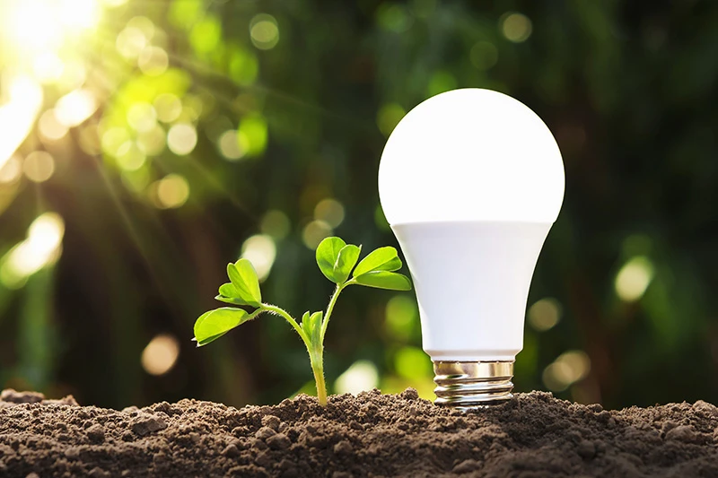LED-Birne, die aus dem Boden wächst