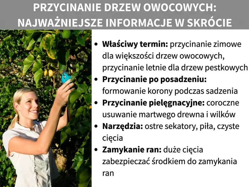 Infografika: Przycinanie drzew owocowych – najważniejsze informacje w skrócie. Kobieta z uśmiechem przycina sekatorami gałęzie drzewa owocowego. Obok lista z pięcioma punktami: 1. Odpowiedni termin: cięcie zimowe dla większości drzew owocowych, cięcie letnie dla drzew pestkowych. 2. Cięcie formujące: ukształtuj koronę zaraz po posadzeniu. 3. Cięcie pielęgnacyjne: co roku usuwaj martwe drewno i wilki. 4. Narzędzia: ostry sekator, piła, czyste cięcia. 5. Zabezpieczanie ran: większe rany posmaruj maścią ogrodniczą.
