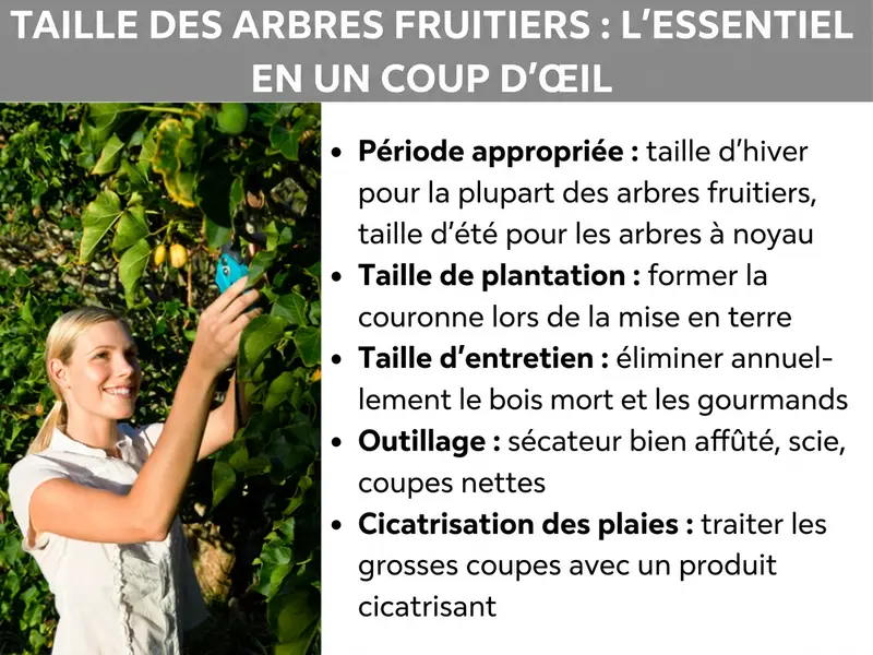 Infographie : Taille des arbres fruitiers : l'essentiel en un coup d'œil. Une femme souriante coupe des branches d'un arbre fruitier à l'aide d'un sécateur. À côté, une liste de cinq points : 1. Bon moment : taille d'hiver pour la plupart des fruitiers, taille d'été pour les fruits à noyau. 2. Taille de plantation : former la couronne dès la mise en terre. 3. Taille d'entretien : retirer chaque année le bois mort et les gourmands. 4. Outils : sécateur bien aiguisé, scie, coupes nettes. 5. Protéger les plaies : appliquer un mastic cicatrisant sur les grosses coupes.