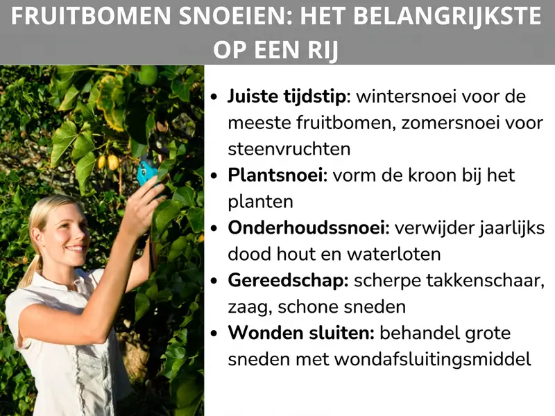 Infographic: Fruitbomen snoeien: het belangrijkste op een rij. Een vrouw snoeit lachend met een takkenschaar takken van een fruitboom. Daarnaast een lijst met vijf punten: 1. Juist moment: wintersnoei voor de meeste fruitbomen, zomersnoei voor steenfruit. 2. Plantsnoei: kroon bij het planten in vorm brengen. 3. Onderhoudssnoei: jaarlijks dood hout en waterlot verwijderen. 4. Gereedschap: scherpe takkenschaar, zaag, schone sneden. 5. Wonden sluiten: grote snoeiwonden behandelen met wondafsluitingsmiddel.