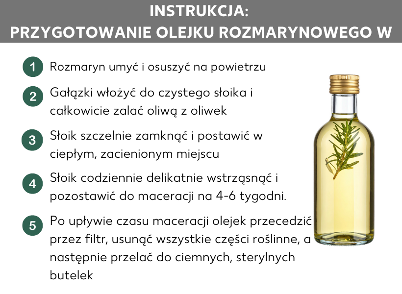 Infografika: Instrukcja: Samodzielne przygotowanie olejku rozmarynowego. Umyj rozmaryn i pozostaw do wyschnięcia na powietrzu. Umieść gałązki w czystym słoiku i całkowicie zalej oliwą z oliwek. Szczelnie zamknij słoik i umieść w ciepłym, zacienionym miejscu. Codziennie delikatnie potrząsaj słoikiem i pozostaw na 4-6 tygodni. Po upływie tego czasu przecedź oliwę przez filtr i usuń wszystkie części rośliny, a następnie przelej do ciemnych, sterylnych butelek.