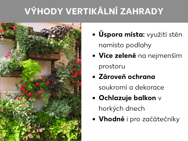 Infografika: Výhody vertikální zahrady. Vlevo fotografie s bohatě osázenými dřevěnými policemi na stěně domu – s červenými květy, zelenými bylinkami a převislými rostlinami v různých odstínech. Vpravo pět bodů: 1. Šetří místo: využíváte stěny místo podlahy. 2. Více zeleně na nejmenším prostoru. 3. Soukromí i dekorace v jednom. 4. Ochlazuje balkon v horkých dnech. 5. Vhodné i pro začátečníky.
