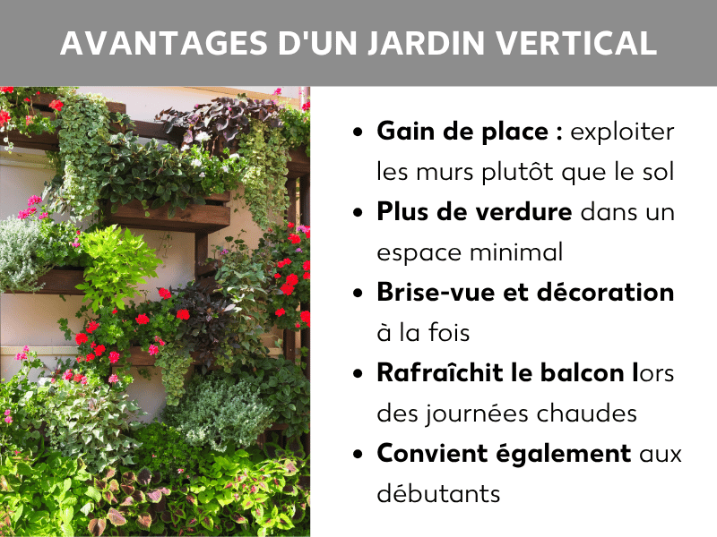 Infographie : avantages d'un jardin vertical. À gauche, une photo d'étagères en bois fixées à un mur, garnies de fleurs rouges, d'herbes aromatiques et de plantes retombantes. À droite, cinq points clés : 1. Gain de place : exploiter les murs plutôt que le sol. 2. Plus de verdure sur un minimum d'espace. 3. Brise-vue et décoration en un. 4. Rafraîchit le balcon par temps chaud. 5. Accessible même aux novices.