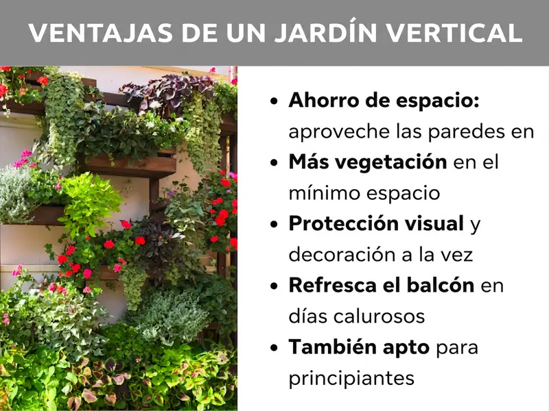 Infografía: ventajas de un jardín vertical. A la izquierda, una foto con estanterías de madera repletas de plantas en la pared de una casa, con flores rojas, hierbas aromáticas verdes y plantas colgantes en distintos tonos. A la derecha, cinco puntos clave: 1. Ahorra espacio: aprovecha las paredes en lugar del suelo. 2. Más verde en el mínimo espacio. 3. Pantalla de privacidad y decoración al mismo tiempo. 4. Refresca el balcón en los días calurosos. 5. Apto también para principiantes.