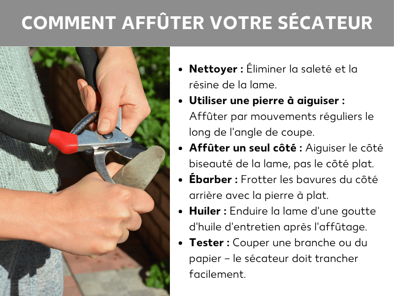 Infographie : comment bien aiguiser un sécateur. À gauche, une photo montre deux mains en train d'affûter un sécateur à poignée rouge sur une pierre à aiguiser. À droite, une liste de six étapes : 1. Nettoyer : retirer la saleté et la résine de la lame. 2. Utiliser une pierre à aiguiser : affûter en suivant l'angle de coupe avec des mouvements réguliers. 3. N'affûter qu'un seul côté : aiguiser le côté biseauté de la lame, pas le côté plat. 4. Ébarber : éliminer les bavures au dos de la lame avec la pierre, à plat. 5. Huiler : appliquer une goutte d'huile d'entretien sur la lame après l'affûtage. 6. Tester : couper une branche ou une feuille de papier – le sécateur doit trancher sans effort.