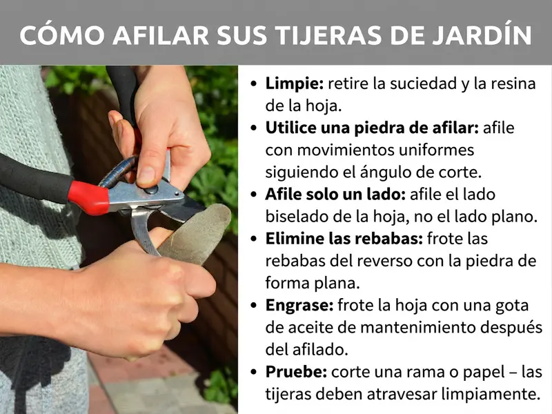 Infografía: así afilas correctamente tus tijeras de podar. A la izquierda, una foto que muestra dos manos afilando unas tijeras de podar de mango rojo sobre una piedra de afilar. A la derecha, una lista con seis pasos: 1. Limpiar: retirar la suciedad y la resina de la hoja. 2. Usar la piedra de afilar: pasar en movimientos uniformes siguiendo el ángulo de corte. 3. Afilar solo un lado: trabajar el lado biselado de la hoja, no el plano. 4. Desbarbar: eliminar las rebabas del reverso pasando la piedra en plano. 5. Engrasar: frotar la hoja con una gota de aceite protector tras el afilado. 6. Probar: cortar una rama o un papel; las tijeras deben atravesarlo con suavidad.