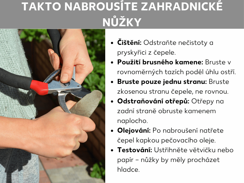 Infografika: Jak správně nabrousit zahradní nůžky. Vlevo fotografie dvou rukou, které brousí zahradní nůžky s červenou rukojetí na brusném kameni. Vpravo seznam šesti kroků: 1. Očistěte: Odstraňte nečistoty a pryskyřici z čepele. 2. Použijte brusný kámen: Bruste rovnoměrnými tahy ve správném úhlu. 3. Bruste jen jednu stranu: Broušená strana čepele je ta zkosená, nikoli plochá. 4. Odstraňte otřep: Přejeďte kamenem naplocho po zadní straně čepele. 5. Naoleoujte: Po nabroušení vetřete do čepele kapku oleje. 6. Vyzkoušejte: Zkuste střihnout větvičku nebo papír – nůžky by měly projít hladce.