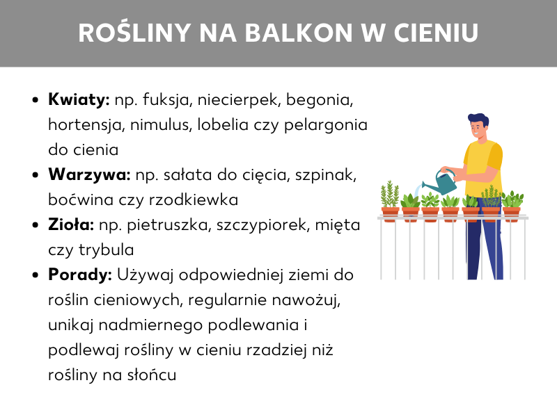 Infografika „Rośliny na zacieniony balkon": wymienione są odpowiednie kwiaty (np. fuksja, begonia, hortensja), warzywa (np. sałata, szpinak, rzodkiewka) i zioła (np. pietruszka, szczypiorek, mięta). Porady zalecają odpowiednią ziemię, regularne nawożenie, unikanie zastoin wody i rzadsze podlewanie w cieniu. Po prawej stronie ilustracja osoby podlewającej rośliny doniczkowe na balustradzie balkonu.