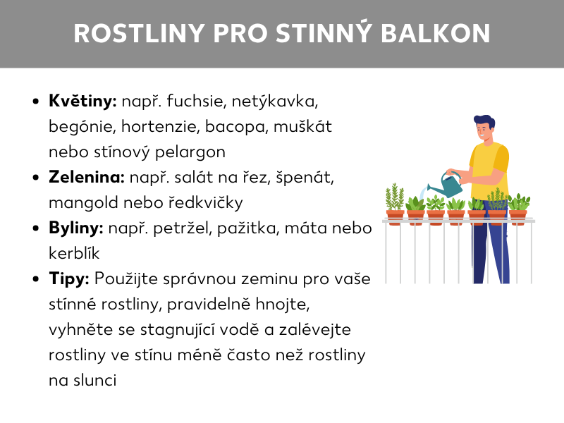 Infografika „Rostliny na stinný balkon": Výčet vhodných květin (např. fuchsie, begónie, hortenzie), zeleniny (např. salát, špenát, ředkvičky) a bylinek (např. petržel, pažitka, máta). Tipy doporučují vhodnou zeminu, pravidelné hnojení, zamezení přemokření a méně časté zalévání ve stínu. Vpravo ilustrace osoby, která zalévá květináče na balkonovém zábradlí.