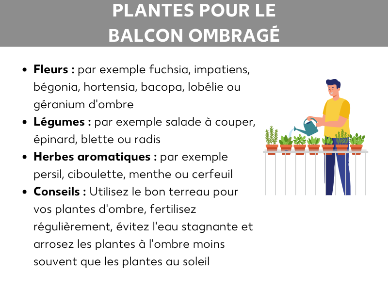 Infographie « Plantes pour un balcon ombragé » : liste de fleurs adaptées (ex. fuchsia, bégonia, hortensia), de légumes (ex. laitue à couper, épinard, radis) et d’herbes aromatiques (ex. persil, ciboulette, menthe). Les conseils recommandent un terreau adapté, une fertilisation régulière, d’éviter l’eau stagnante et d’arroser moins souvent à l’ombre. À droite, illustration d’une personne arrosant des plantes en pot sur une rambarde de balcon.