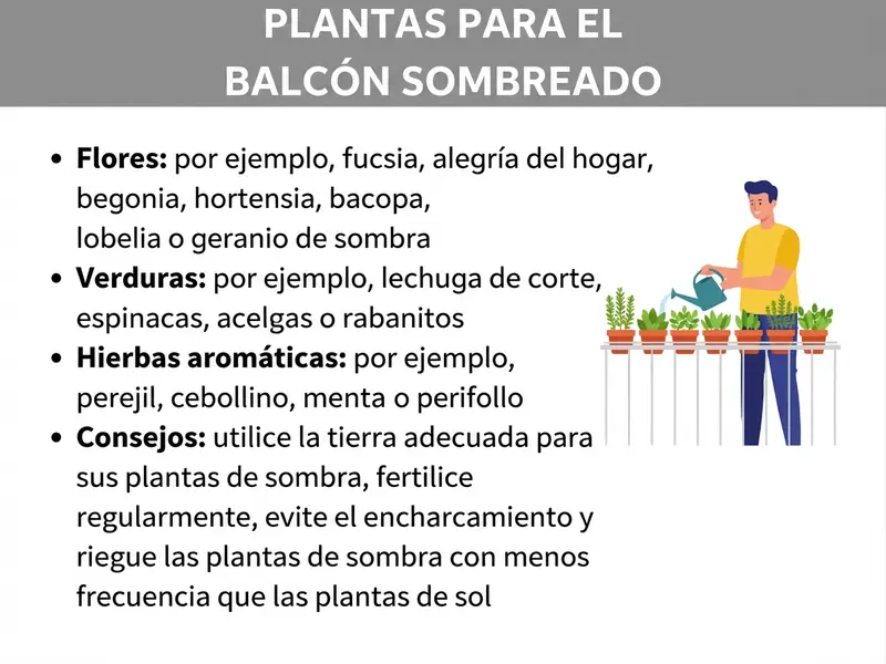 Infografía «Plantas para balcón con sombra»: se enumeran flores adecuadas (p. ej., fucsia, begonia, hortensia), verduras (p. ej., lechuga de corte, espinaca, rabanitos) y hierbas aromáticas (p. ej., perejil, cebollino, menta). Los consejos recomiendan usar un sustrato adecuado, abonar con regularidad, evitar el encharcamiento y regar con menos frecuencia en la sombra. A la derecha, una ilustración de una persona regando macetas en la barandilla de un balcón.