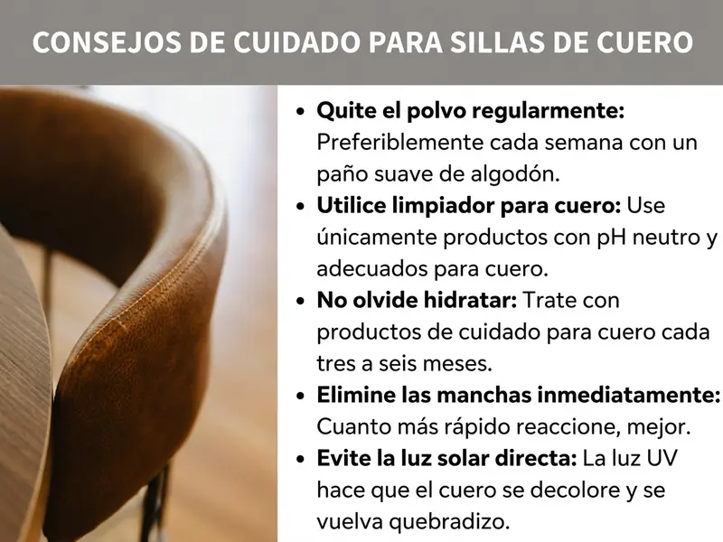 Infografía con consejos para el cuidado de sillas de cuero: a la izquierda, una foto en primer plano de una silla de cuero marrón; a la derecha, cinco consejos de cuidado: quitar el polvo con regularidad con un paño suave de algodón, usar limpiadores de cuero con pH neutro, aplicar crema acondicionadora cada tres a seis meses, eliminar las manchas de inmediato y evitar la luz solar directa para prevenir la decoloración y las grietas.